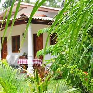 Amenity Bed & Breakfast Sigiriya